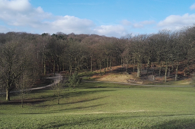 Tandle Hill Country Park in Royton Tandle Hill Country Park in Royton