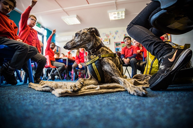 The manager of the Manchester Dog's Trust says they're coping well at the moment