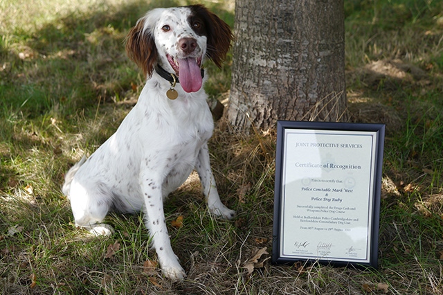 Police dog Ruby with her graduation certificate