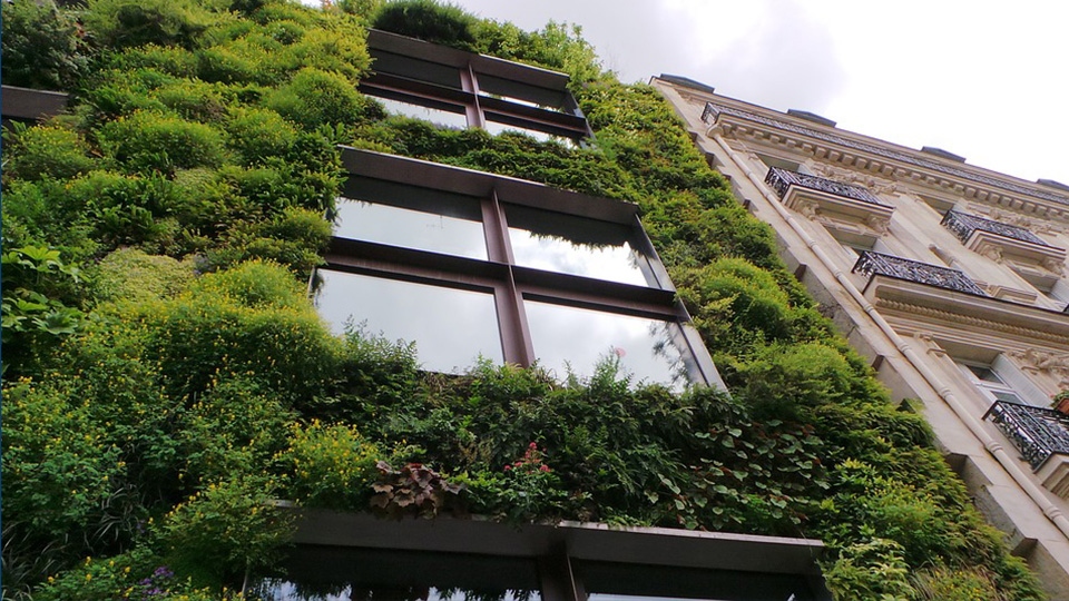 Eco wall Eco wall