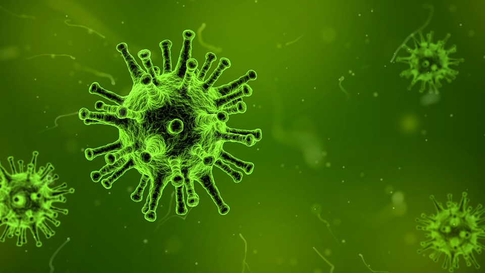 Flu jabs will be available for primary pupils Flu jabs will be available for primary pupils
