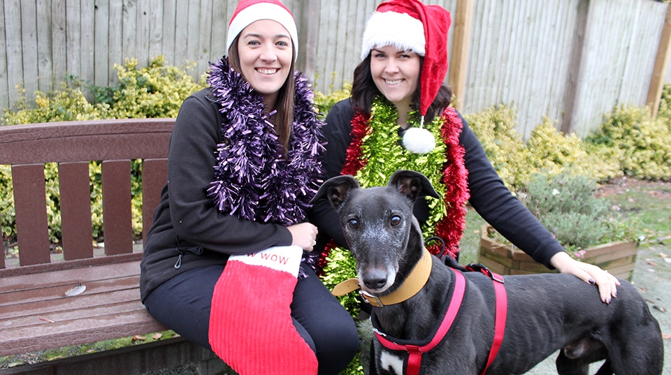 Greyhound Jess is pictured with (from left) Supporter Relations Officers Nicola Hardman and Louise Danson