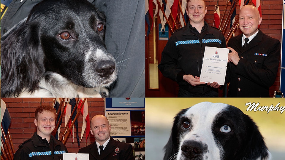 Dogs Aayla and Murphy with their police handlers