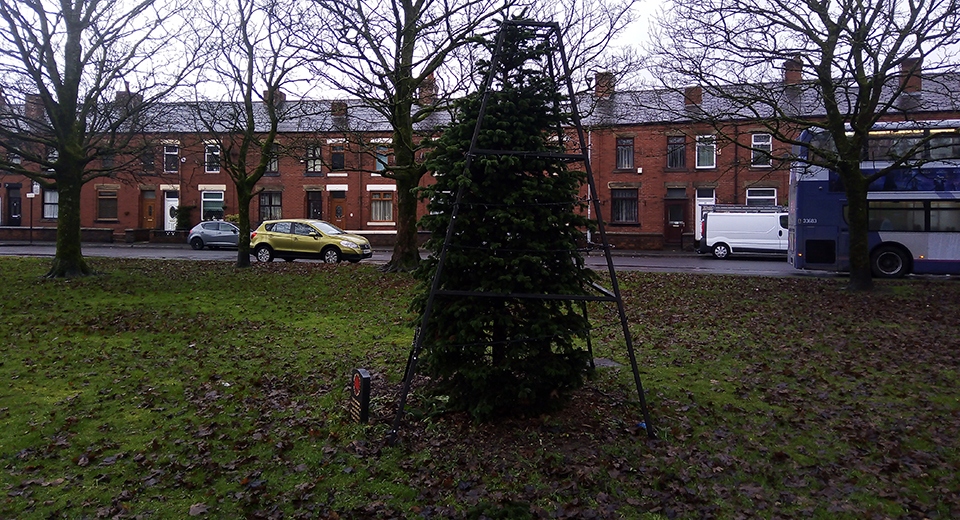 The much-maligned Christmas tree at Wren's Nest in Shaw