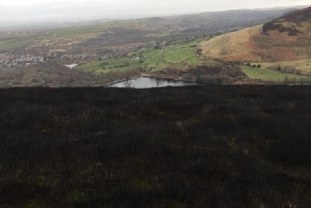 Scorched moorland at Saddleworth