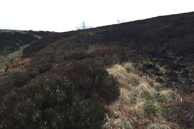 More of the damage done by the fire on Saddleworth Moor