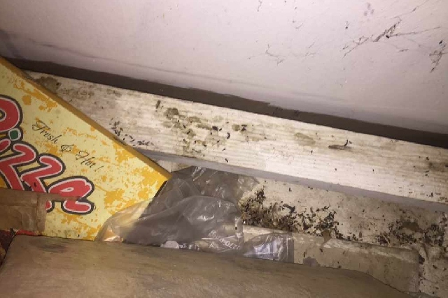 Montana Fried Chicken was found to have a mouse dropping and cockroach problem