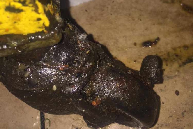 Montana Fried Chicken was found to have a mouse dropping and cockroach problem