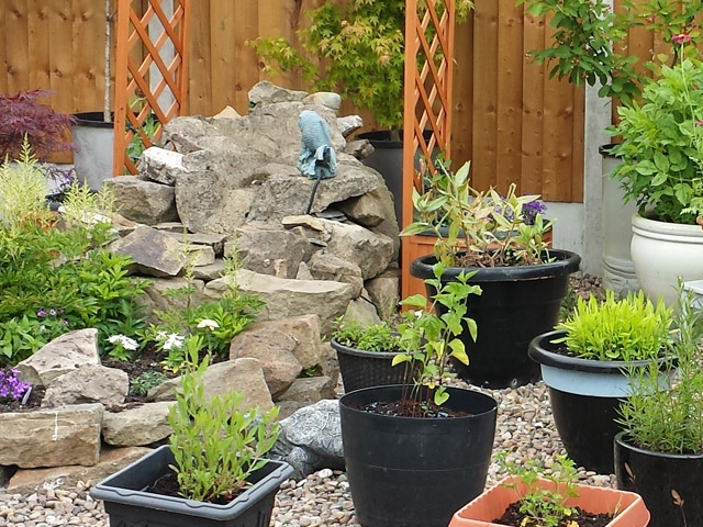 National Gardening week National Gardening week