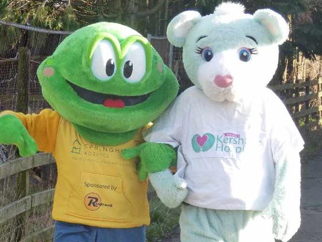 Dr Kershaw's Hope The Bear and Springhill's Springy The Frog