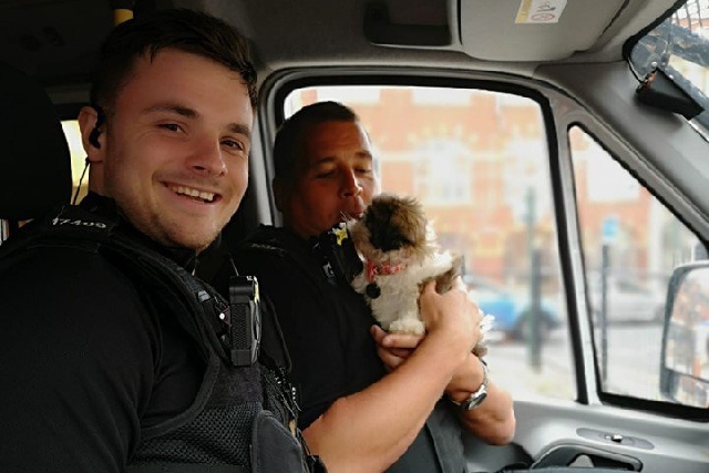 Poppy the dog is back in safe hands