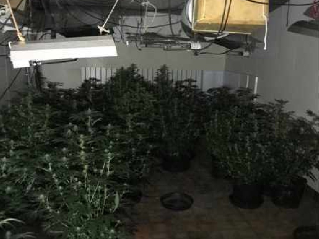Officers rumbled the farm on Tuesday evening Officers rumbled the farm on Tuesday evening
