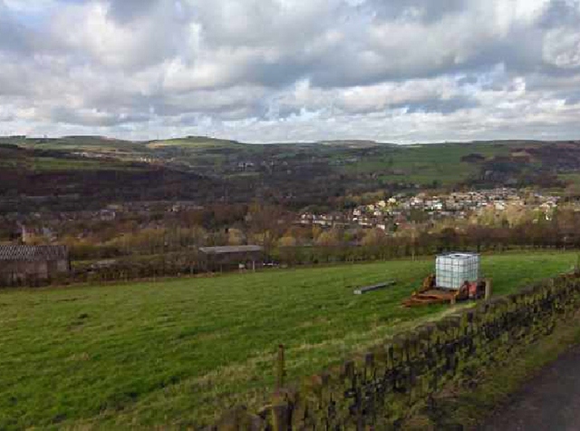 An environmental committee will now be tasked with creating a long-term approach to deliver its targets An environmental committee will now be tasked with creating a long-term approach to deliver its targets