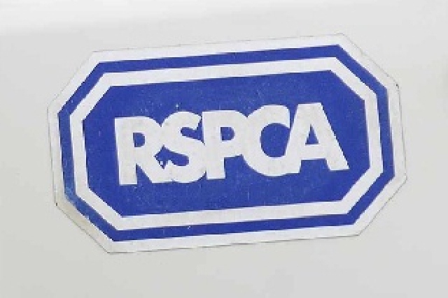 RSPCA RSPCA