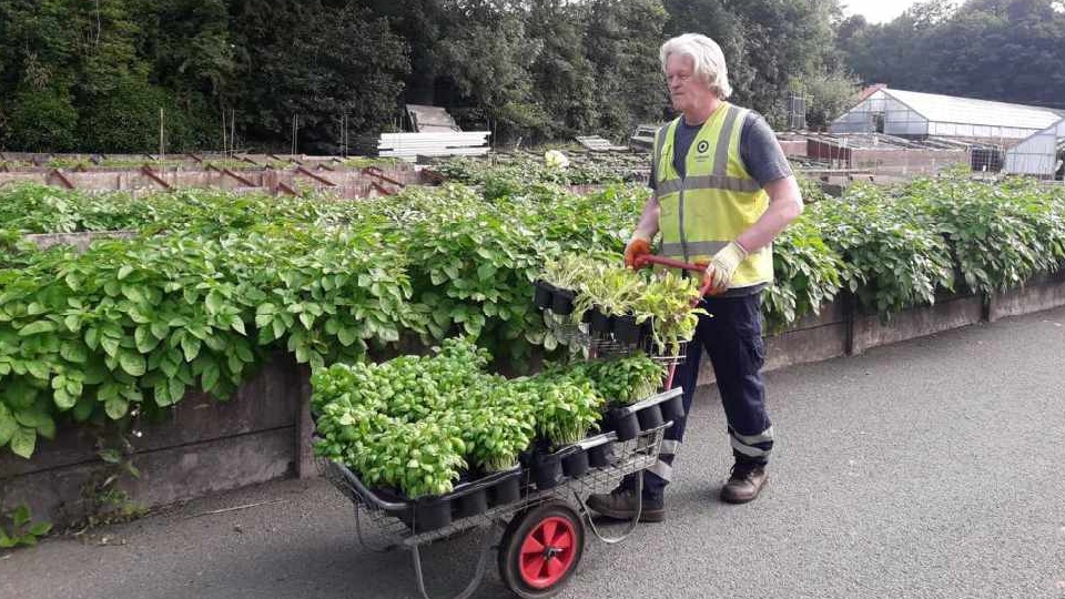 Council gardeners, who would normally have been getting ready to brighten up the borough in time for summer, switched petunias for potatoes and busily started growing vegetables