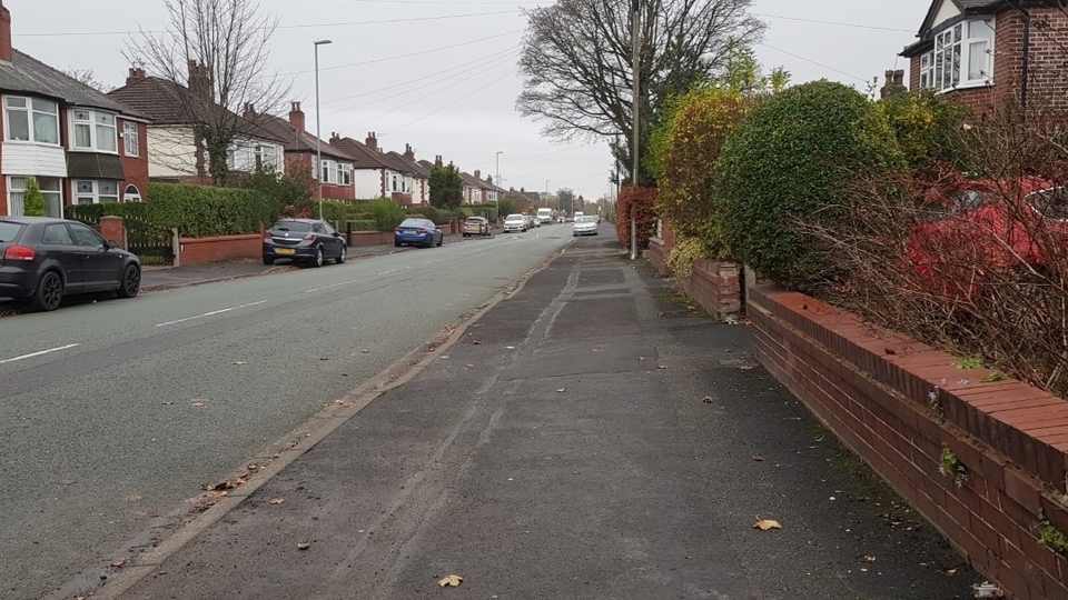 Owler Lane in Chadderton is often littered with dog mess 