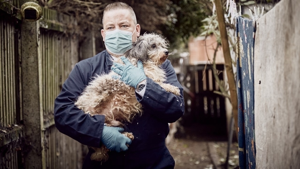 RSPCA officers are out on the frontline 365 days a year, including Christmas Day RSPCA officers are out on the frontline 365 days a year, including Christmas Day