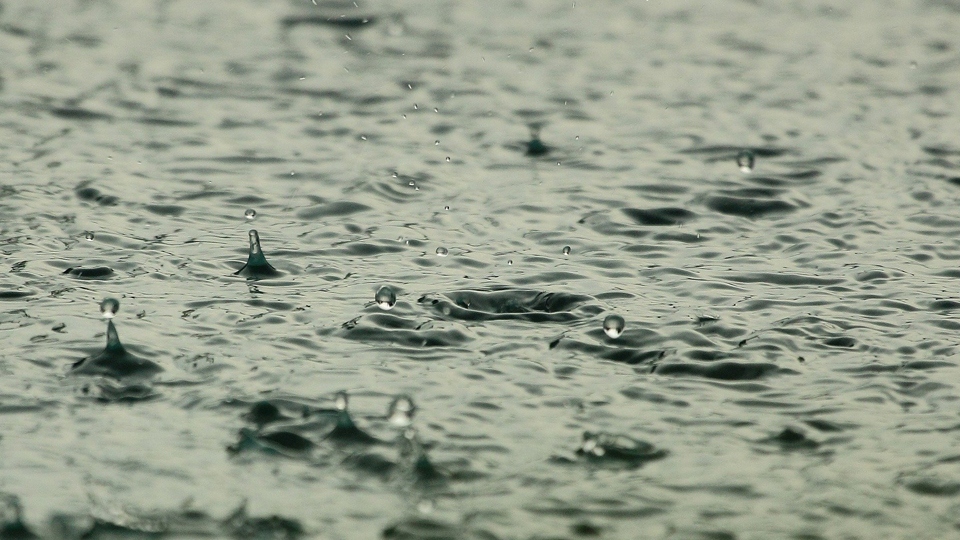 Heavy rain forecast for today Heavy rain forecast for today