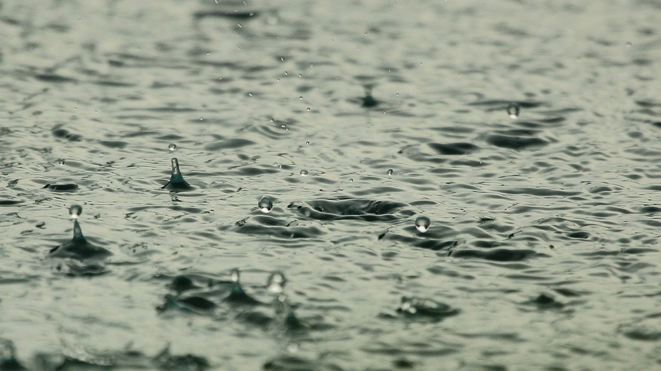 Wind and rain is forecast for tomorrow