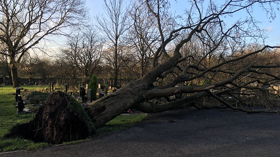 The tree fell onto headstones in Chadderton