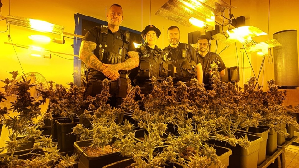 Cannabis farm found in Oldham Cannabis farm found in Oldham