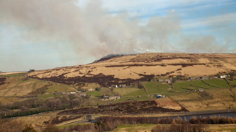 Twenty fire appliances were called to the area near Deer Hill reservoir on Monday afternoon