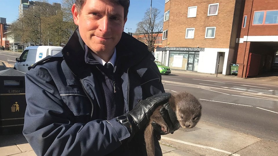 The RSPCA has a team of frontline officers working around the clock across England and Wales to deal with emergency-only cases The RSPCA has a team of frontline officers working around the clock across England and Wales to deal with emergency-only cases