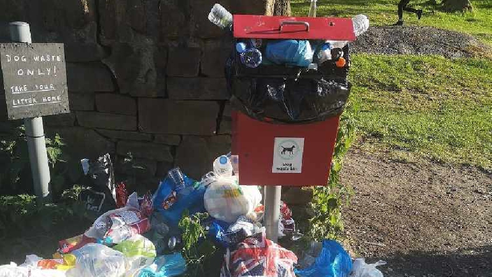 One typical scene close to Dovestone Reservoir last weekend One typical scene close to Dovestone Reservoir last weekend