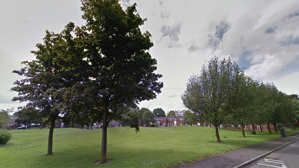 The site at Keb Lane where protected trees were cut down. Pictured before development began. Photo courtesy of Google Maps