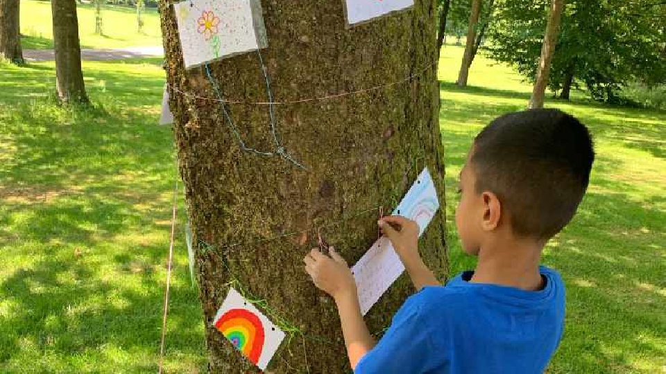 School children took to drawing pictures on some of the trees in Alexandra Park