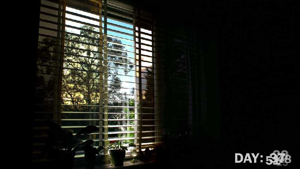 Daisy and Aimah chose to portray images of lockdown from within their home Daisy and Aimah chose to portray images of lockdown from within their home