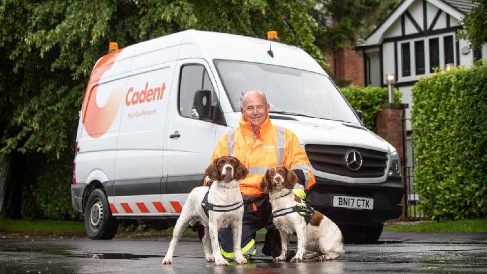 Former police explosives and drugs dogs Nelly, Midge and Milly have been busy working for Cadet in Oldham recently