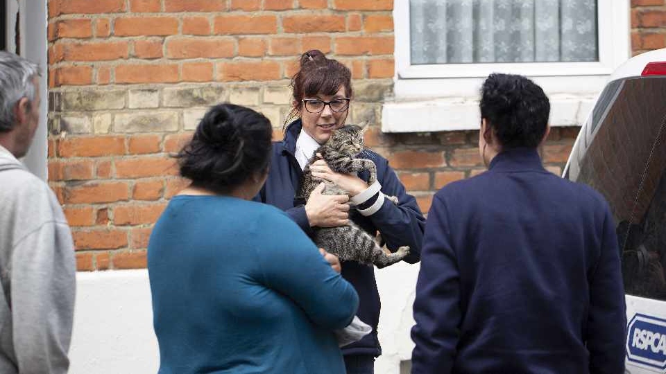 RSPCA key workers like Emma Byrne have continued helping animals during lockdown RSPCA key workers like Emma Byrne have continued helping animals during lockdown