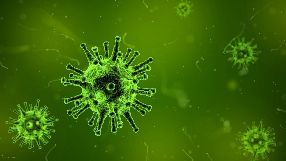 Coronavirus