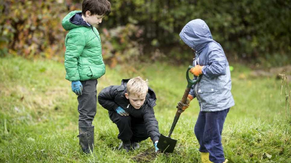 City of Trees have created a number of free resources for schools for outdoor activities linked to Key Stage 1 and 2
