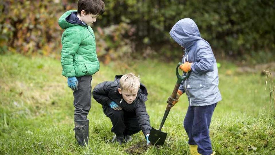 City of Trees have created a number of free resources for schools for outdoor activities linked to Key Stage 1 and 2 City of Trees have created a number of free resources for schools for outdoor activities linked to Key Stage 1 and 2