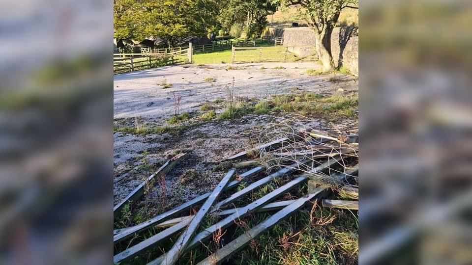 Damage caused by the mystery crash Damage caused by the mystery crash