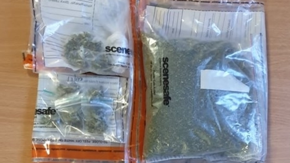 During a search, officers located substantial quantities of cannabis bush, in addition to drugs paraphernalia, packaging, mobile devices and a machete