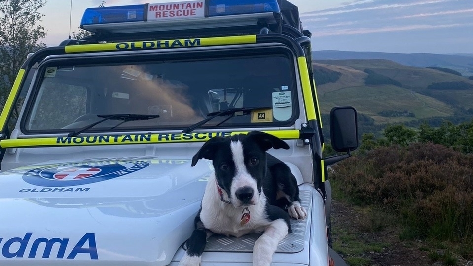 Ace, a border collie “adopted” by the Evening Chronicle, was on a dog training exercise with his trainer Rick Beswick