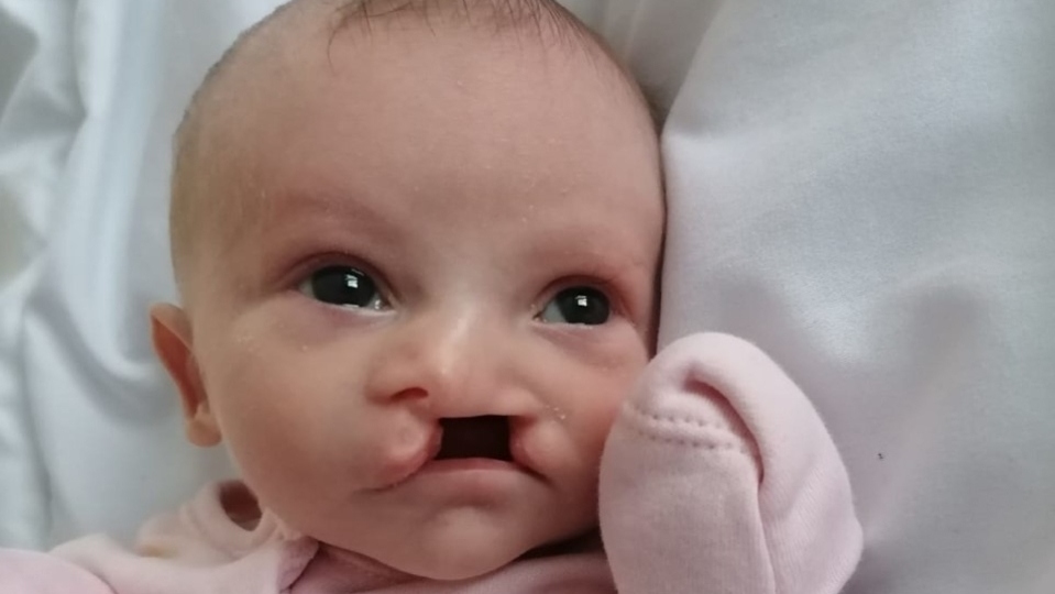 Felicity-May Harvey passed away on January 11 Felicity-May Harvey passed away on January 11
