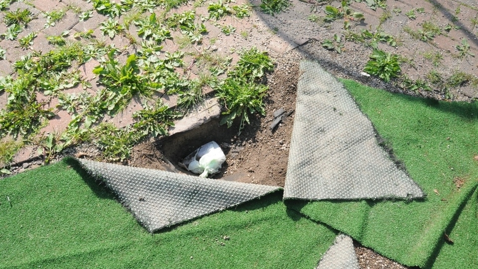 During the search in Oldham, a handgun was located under artificial grass in the rear garden During the search in Oldham, a handgun was located under artificial grass in the rear garden