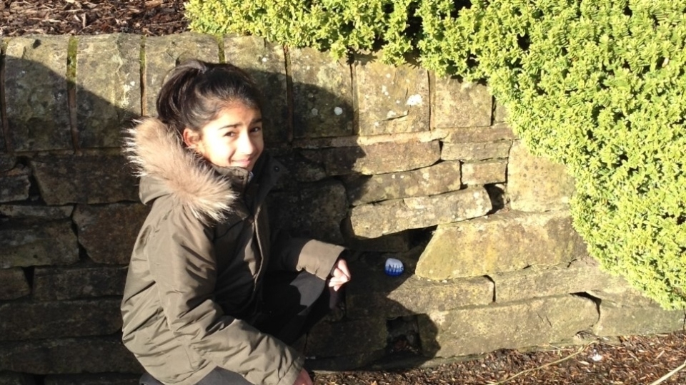 Alexandra Park schoolchildren created a #AlexParkRocks pebble trail Alexandra Park schoolchildren created a #AlexParkRocks pebble trail