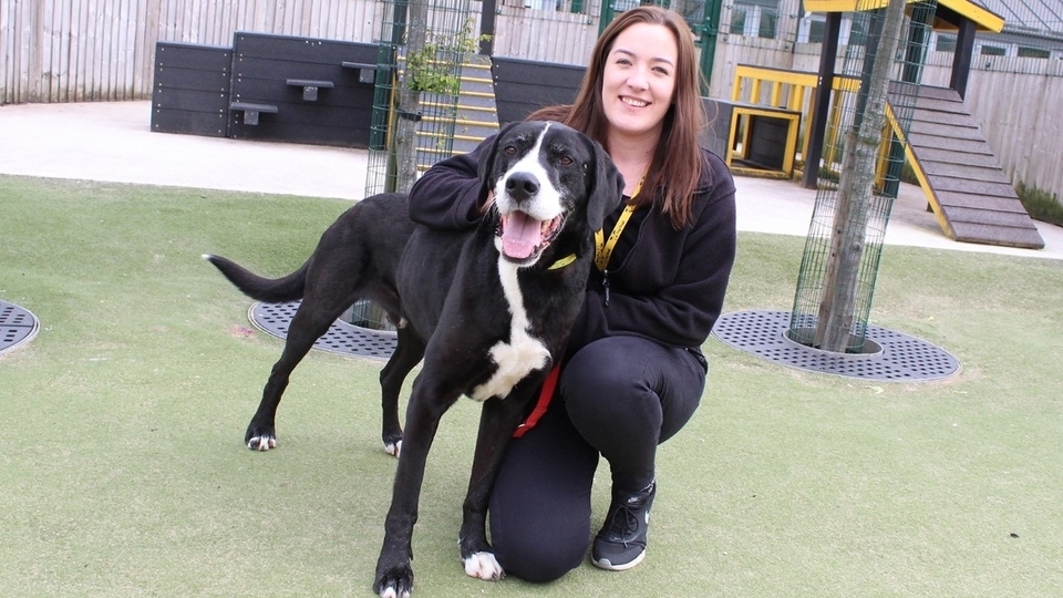 Nicola Hardman is pictured with former Dogs Trust Manchester resident, Bear