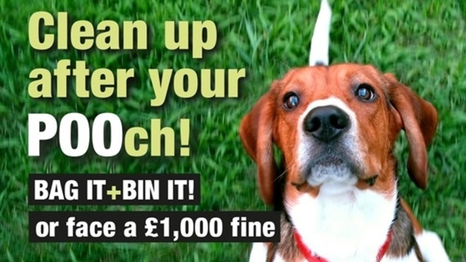 The vast majority of Oldham's dog owners are responsible and clean up after their pets, but sadly a small minority don’t The vast majority of Oldham's dog owners are responsible and clean up after their pets, but sadly a small minority don’t