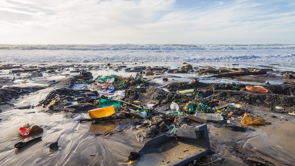 Plastic waste alone kills over a million seabirds every year Plastic waste alone kills over a million seabirds every year
