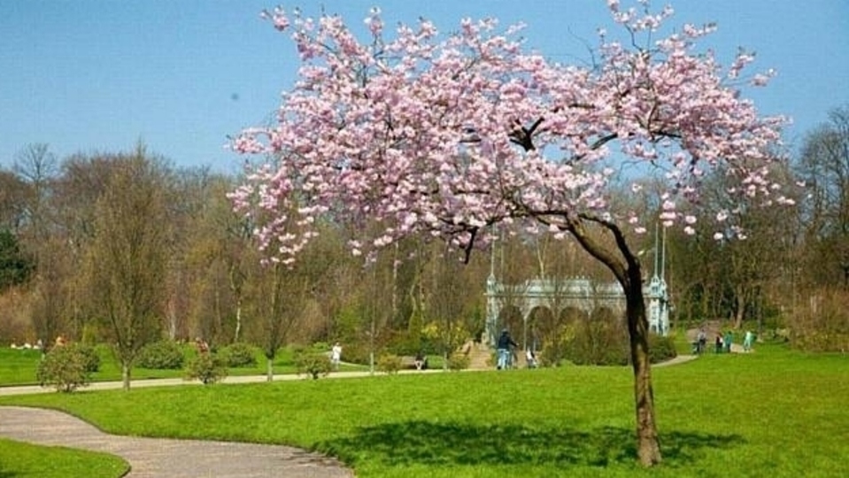 Outdoor meeting - in places like Alexandra Park (pictured) - and grass roots sports can resume today