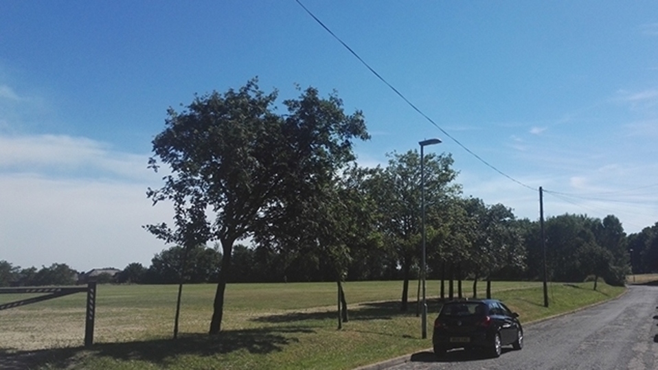 Sunshine has been the order of the day in Oldham today (Monday)