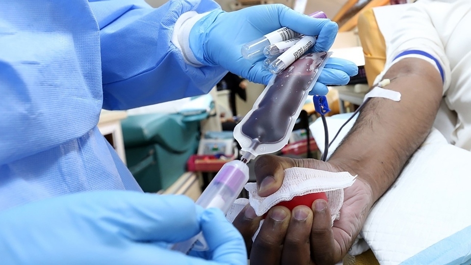 Donors from the Black and mixed Black communities are urgently needed as they are more likely to have Ro, the blood type needed to treat patients suffering from the complications of sickle cell disease