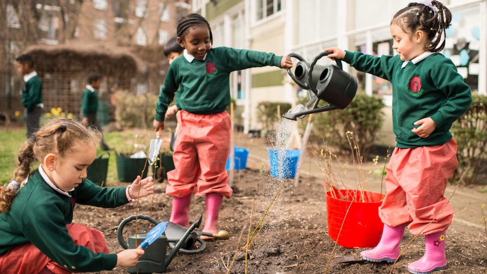 Tree-planting packs contain a mix of UK sourced and grown native broadleaf species such as hazel, rowan, hawthorn, common oak, silver birch, wild cherry, elder, dogwood and holly