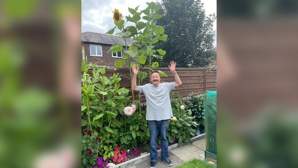 Mike Tyson is pictured with his giant sunflowers